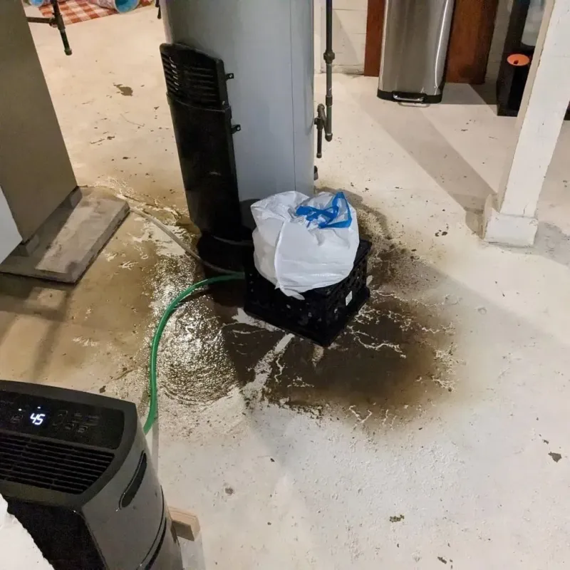 Sewage Backup Cleanup Service in Livingston, NJ